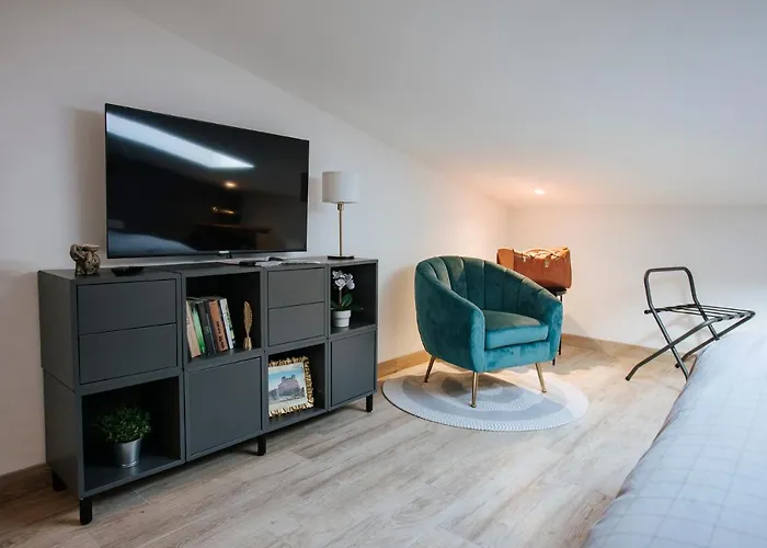 Unique Center Gran Fenice With Free Garage Parking And Roof Terrace In One Of The Appartamento Fiume