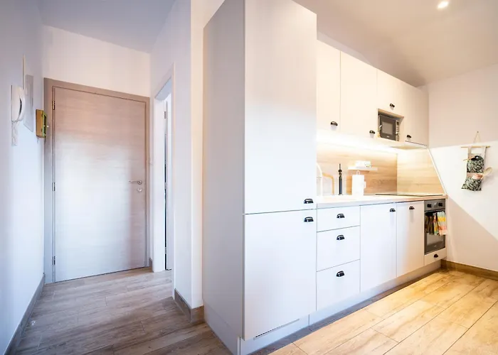 Unique Center Gran Fenice With Free Garage Parking And Roof Terrace In One Of The Fiume