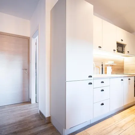 Unique Center Gran Fenice With Free Garage Parking And Roof Terrace In One Of The Rijeka