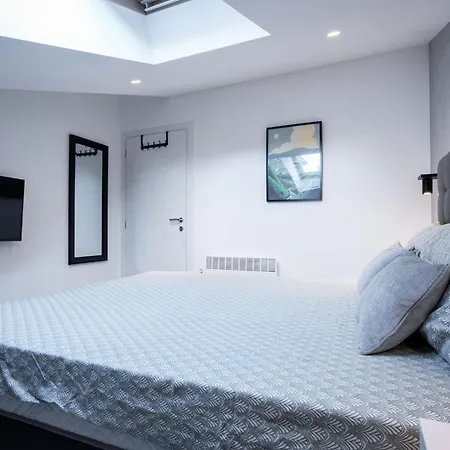 Unique City Center Apartments Gran Fenice With Free Garage Parking And Roof Terrace In One Of The Apartments Rijeka